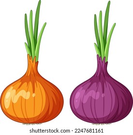 Red shallot and onion vector illustration