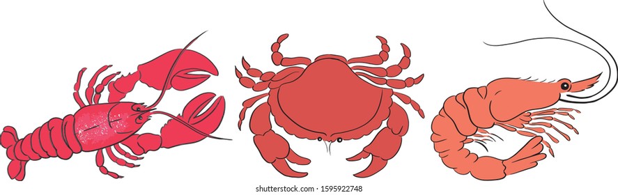 Red Shrimp, Lobster and Crab Drawing Background Illustration