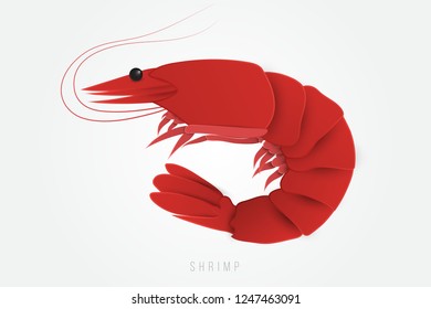 Red shrimp in paper cut craft style. Vector illustration for advertising, branding greeting card, cover, poster, banner. Isolated on white background.