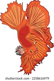 Red Siamese Fighting Fish Illustration