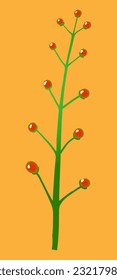 red simple wild flower-fruit on orange background