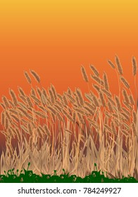 A red sky over a field of waving grass.