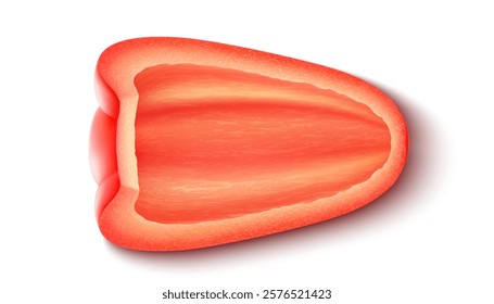 Red slice of bell pepper vegetable, isolated on white background. Fresh ripe sweet paprika piece, realistic 3D vector illustration, object in macro closeup for natural food cuisine