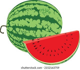 Red sliced watermelon with a whole green beautiful watermelon. Vector fruits Design. Very beautiful color. Vecor design isolated on white background.