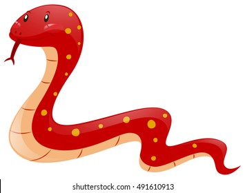 Red snake on white background illustration