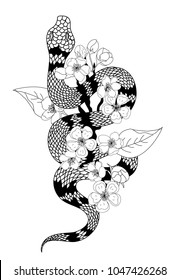 red snake vector and Cherry flower spring season vector illustration background.Poster design Red snake Reptile and Sakura flower for printing and tattoo.