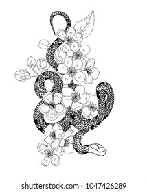 red snake vector and Cherry flower spring season vector illustration background.Poster design Red snake Reptile and Sakura flower for printing and tattoo.