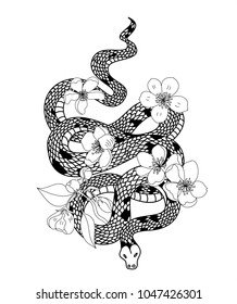 red snake vector and Cherry flower spring season vector illustration background.Poster design Red snake Reptile and Sakura flower for printing and tattoo.