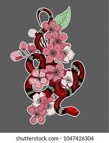 red snake vector and Cherry flower spring season vector illustration background.Poster design Red snake Reptile and Sakura flower for printing and tattoo.
