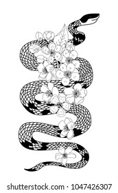 red snake vector and Cherry flower spring season vector illustration background.Poster design Red snake Reptile and Sakura flower for printing and tattoo.