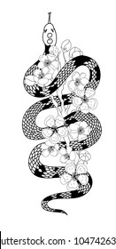 red snake vector and Cherry flower spring season vector illustration background.Poster design Red snake Reptile and Sakura flower for printing and tattoo.