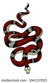 red snake vector.Lampropeltis triangulum vector.Sticker and hand drawn snake for tattoo.Red snake Reptile on white background.