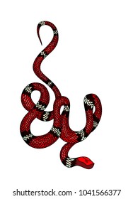 Red snake vector.Lampropeltis triangulum vector.Sticker and hand drawn snake for tattoo.Red snake Reptile on white background.