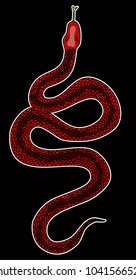 Red snake vector.Lampropeltis triangulum vector.Sticker and hand drawn snake for tattoo.Red snake Reptile on white background.