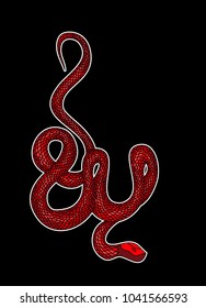 Red snake vector.Lampropeltis triangulum vector.Sticker and hand drawn snake for tattoo.Red snake Reptile on white background.