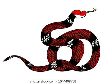 Red snake vector.Lampropeltis triangulum vector.Sticker and hand drawn snake for tattoo.Red snake Reptile on white background.
