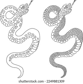 Red snake vector.Lampropeltis triangulum vector.Sticker and hand drawn snake for tattoo.Red snake Reptile on white background.
