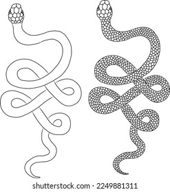 Red snake vector.Lampropeltis triangulum vector.Sticker and hand drawn snake for tattoo.Red snake Reptile on white background.