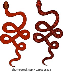 Red snake vector.Lampropeltis triangulum vector.Sticker and hand drawn snake for tattoo.Red snake Reptile on white background.