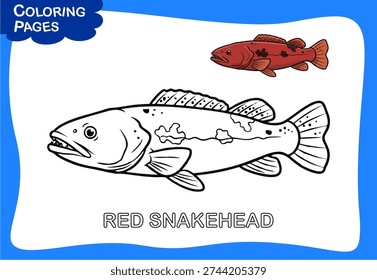 Red Snakehead Top Water Predator Vector Design Illustration 