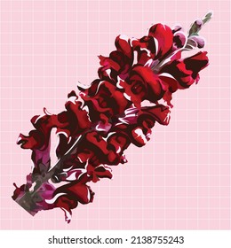 Red Snapdragons flowers realistic. Delicate flower Snapdragons. Isolated vector illustration.