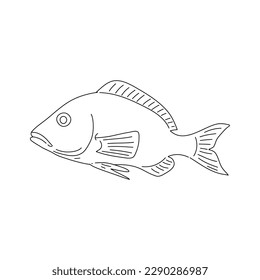 Red snapper hand drawing vintage engraving illustration. Vector.