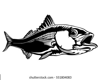 Red Snapper Isolated On White Vector Illustration. Silhouette Of Fish.