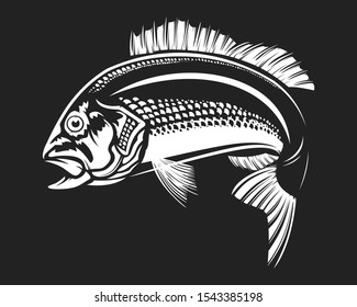 Red snapper isolated vector illustration. Fishing logo of red snapper. Fishing emlem for company or sport club. Marine theme background. 
