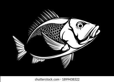 Red snapper isolated vector illustration. Fishing logo of red snapper. Fishing emlem for company or sport club. Marine theme background. 