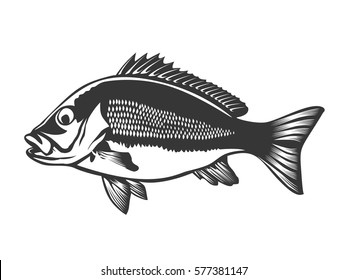 Red Snapper With Rods And Ocean Waves Fishing Logo Isolated On White Vector Illustration. 