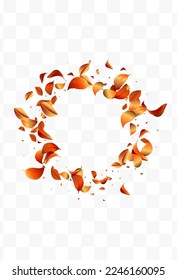 Red Solar Fly Vector White Transparent Background Wallpaper. Abstract Leaves Template. Orange Foliage Transparent Brochure. Leaf Wind Pattern.