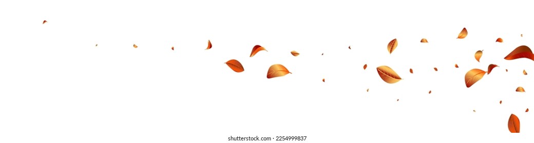 Red Solar Flying Vector White Panoramic Background Banner. Abstract Leaf Plant. Yellow Foliage Blur Branch. Leaves Herbal Illustration.