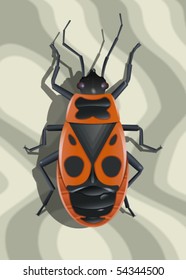 Red soldier bug on surface with abstract texture