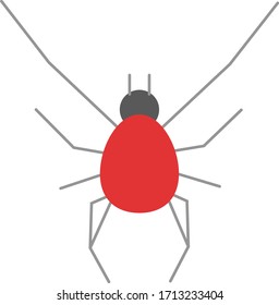 red spider animal vector illustration icon flat design