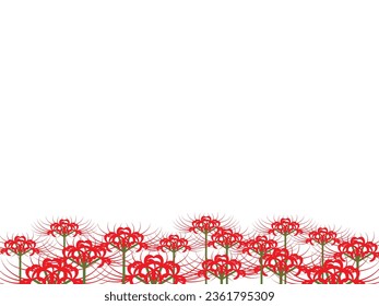 Red spider lily background illustration svg