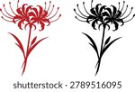 Red spider lily flower vector illustration. Traditional japanese higanbana silhouette set in red and black colors isolated on white background.