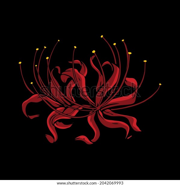 Red Spider Lily\
Flower Vector Illustration