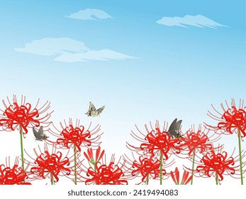 Red spider lily and swallowtail butterfly frame background blue sky