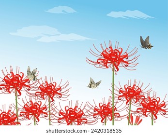 Red spider lily and swallowtail butterfly background blue sky