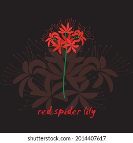 red spider lily vector use for anything like decoration 