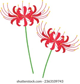 The red spider lily, which resembles a flame, blooms passionately and withers quickly, as the flower language suggests. svg