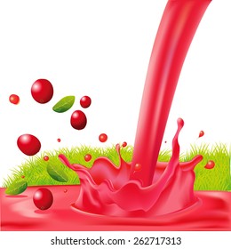 red splash of cranberry juice - vector illustration isolated on white background