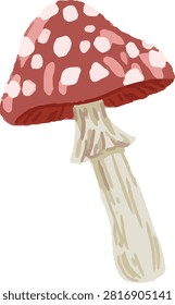 Red spotted fly agaric mushroom vector illustration isolated on white background. Single fall toadstool element for seasonal forest design.