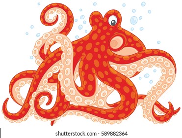 Red spotted octopus