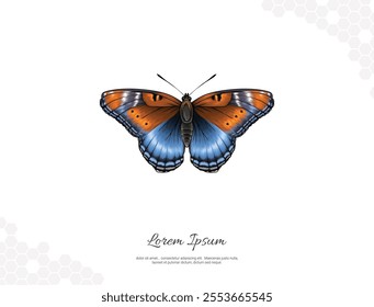 Red spotted purple wings butterfly vector art for wall decoration. realistic Drawing. Hand drawn wild animal isolated. for room decoration, events, etc