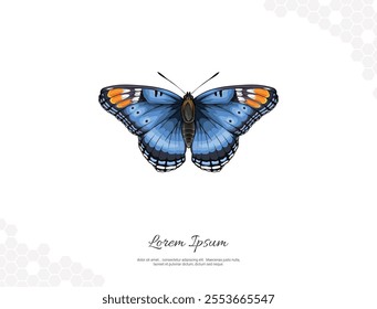 Red spotted purple wings butterfly vector art for wall decoration. realistic Drawing. Hand drawn wild animal isolated. for room decoration, events, etc