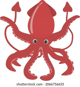 A red squid with 8 arms and 2 tentacles . Cartoon vector illustration. Isolated. Cute drawing. Sea creature.