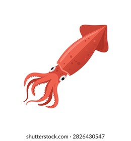 Red Squid Flat Vector Illustration Isolated on White Background for Seafood Logo or Ocean Life Design