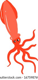 Calamar rojo, ilustración, vector sobre fondo blanco.