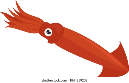 Red squid, illustration, vector on white background